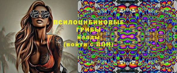 стафф Дмитровск