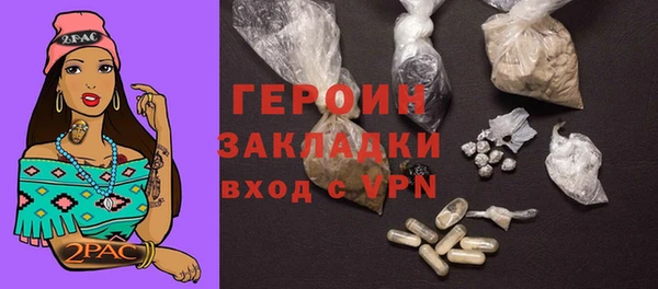 ПСИЛОЦИБИНОВЫЕ ГРИБЫ Дмитриев