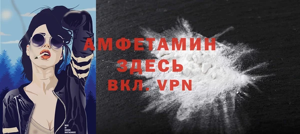ПСИЛОЦИБИНОВЫЕ ГРИБЫ Дмитриев