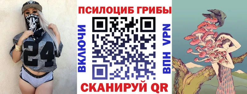 Псилоцибиновые грибы мухоморы  Купить где  Камызяк 